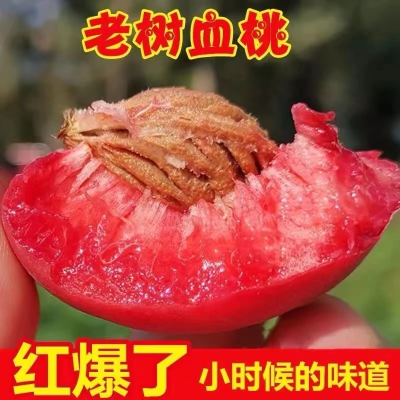 老树中华红血桃红心脆甜多汁新鲜应季水果