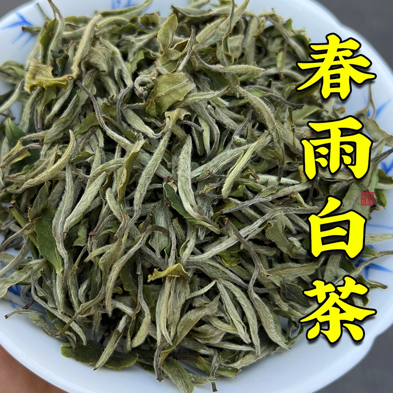【春雨白茶】日晒白茶 甘甜花果香 润甜 喉咙回香持久