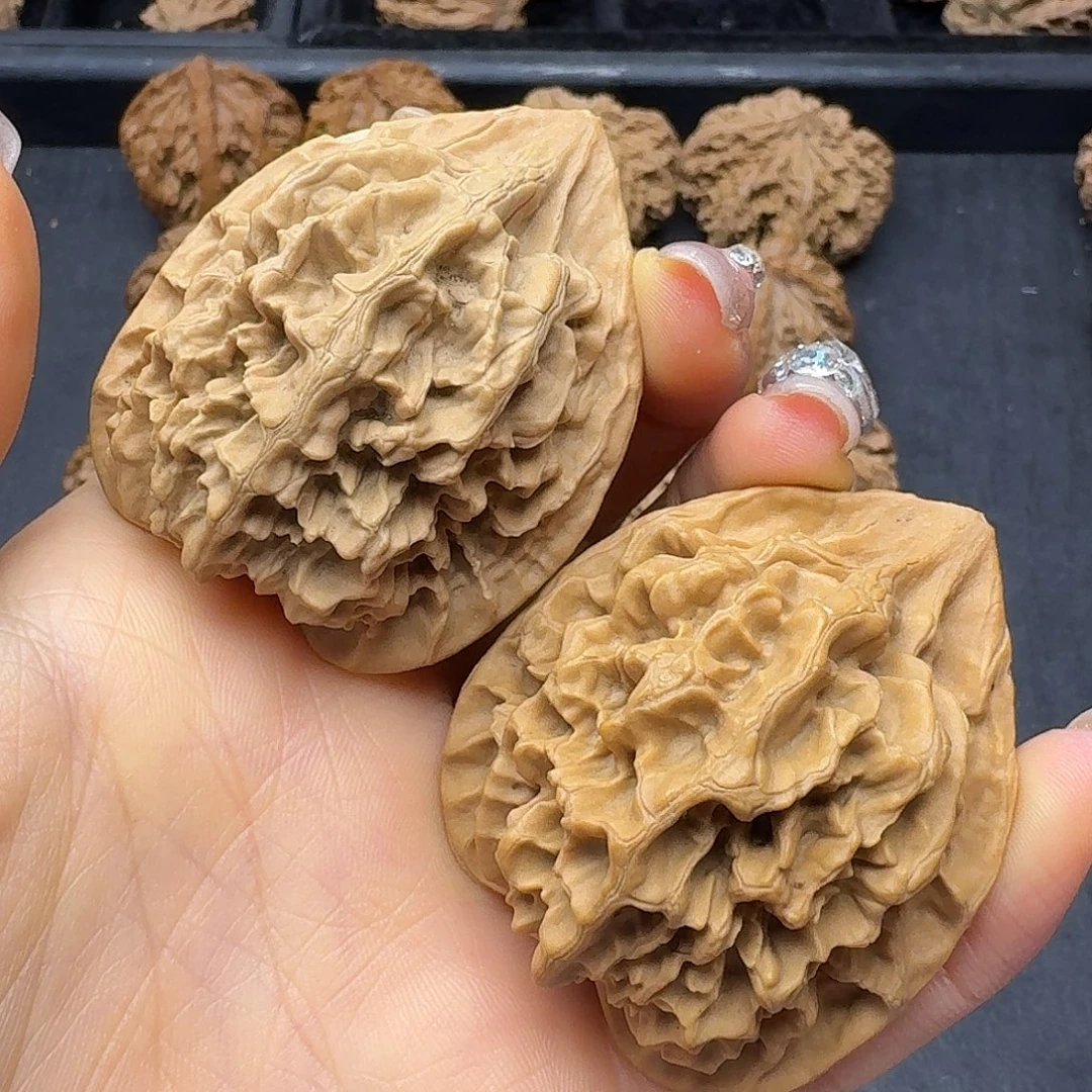 桃木突突突突突突突