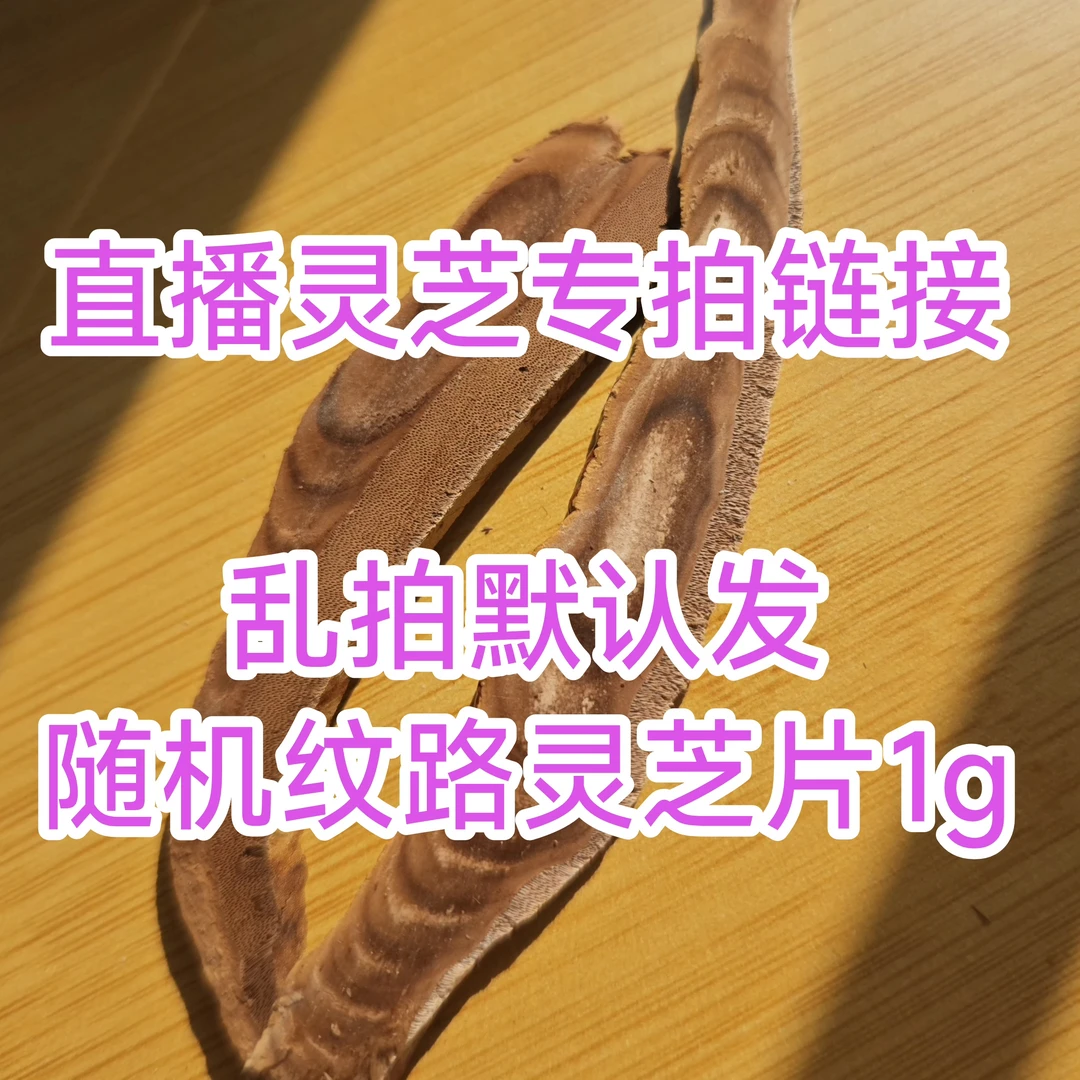 标记直播灵芝专拍链接  灵芝片1g