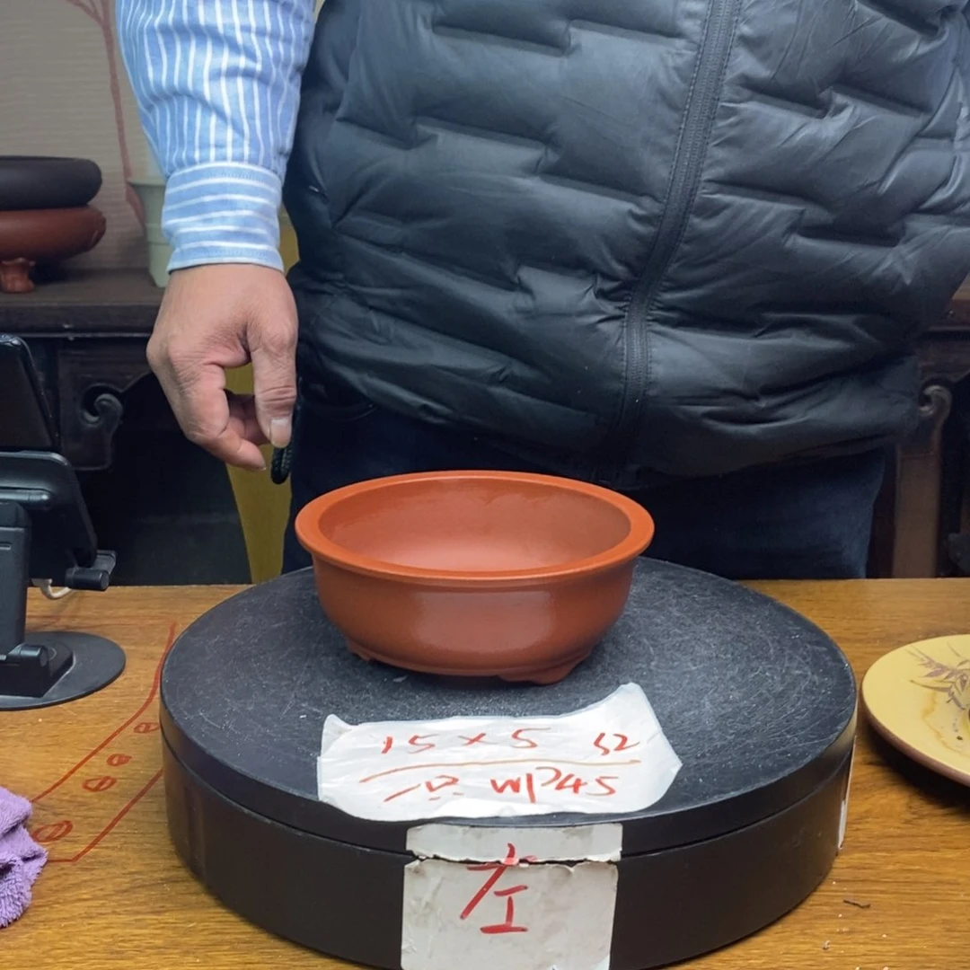 红陶货号一只WP45