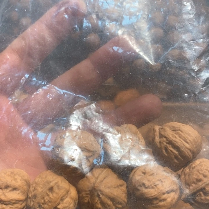 文玩核桃手串凌****.核桃