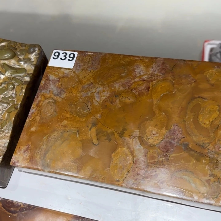 111111111康****e11111111