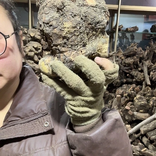 香榧木二*火琉璃的故事毛料摆件