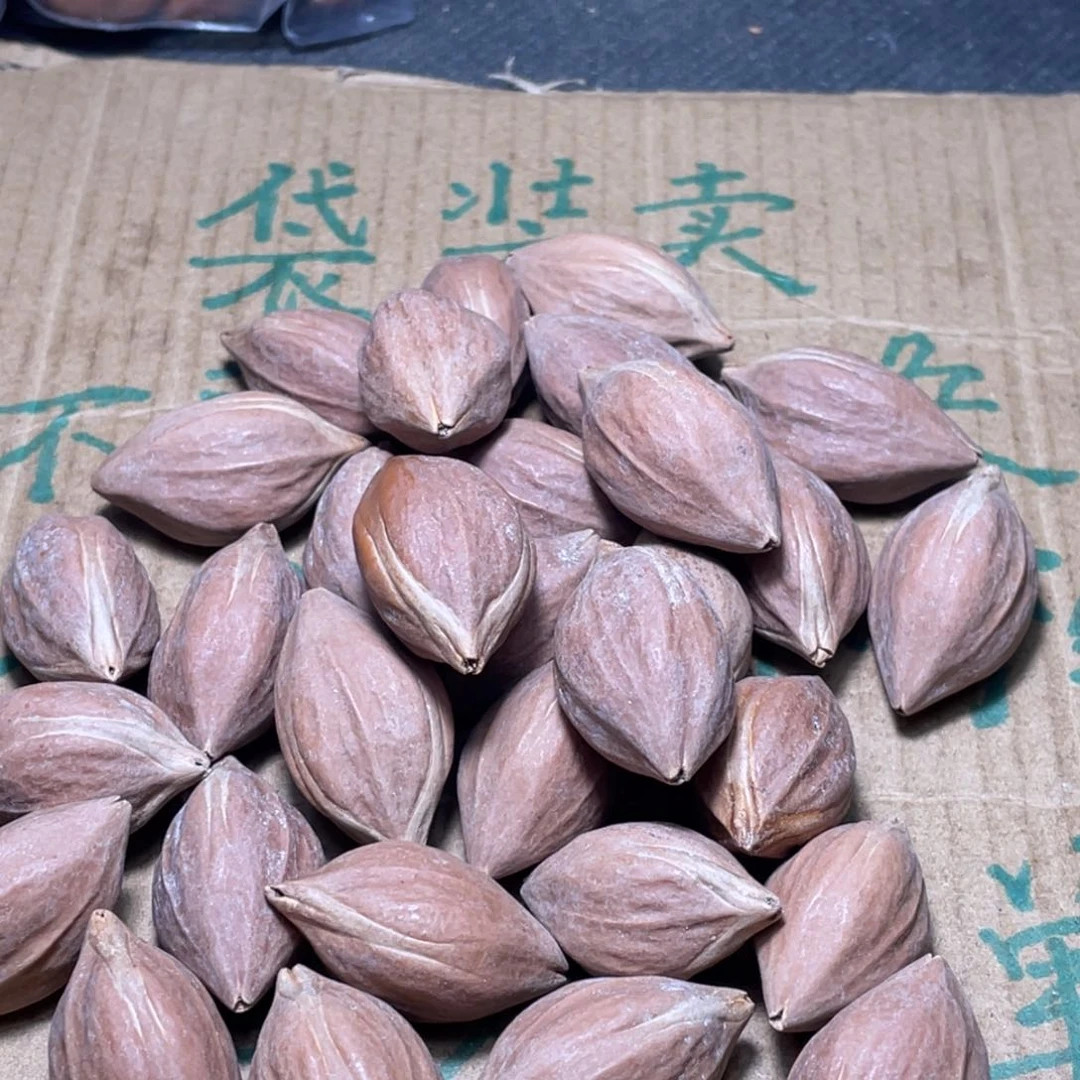 用****6不退不换fsfgh