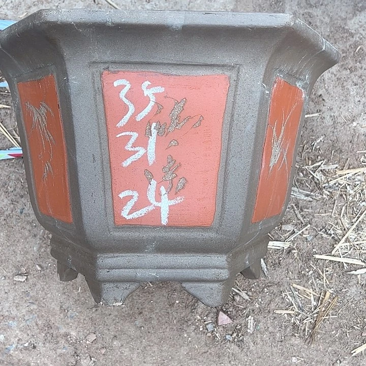 红陶紫砂艺术学院