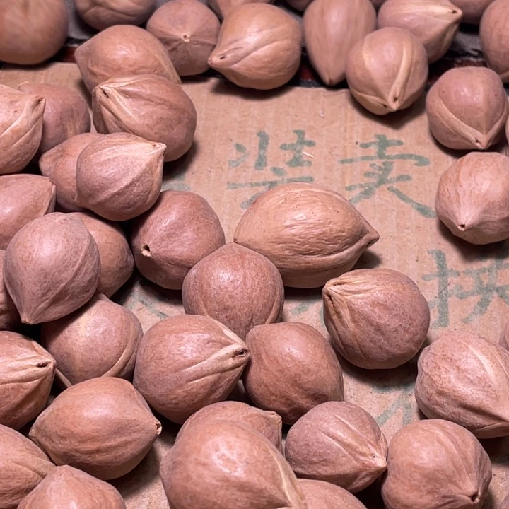 老***马橄榄核手串/手链不退不换eryu