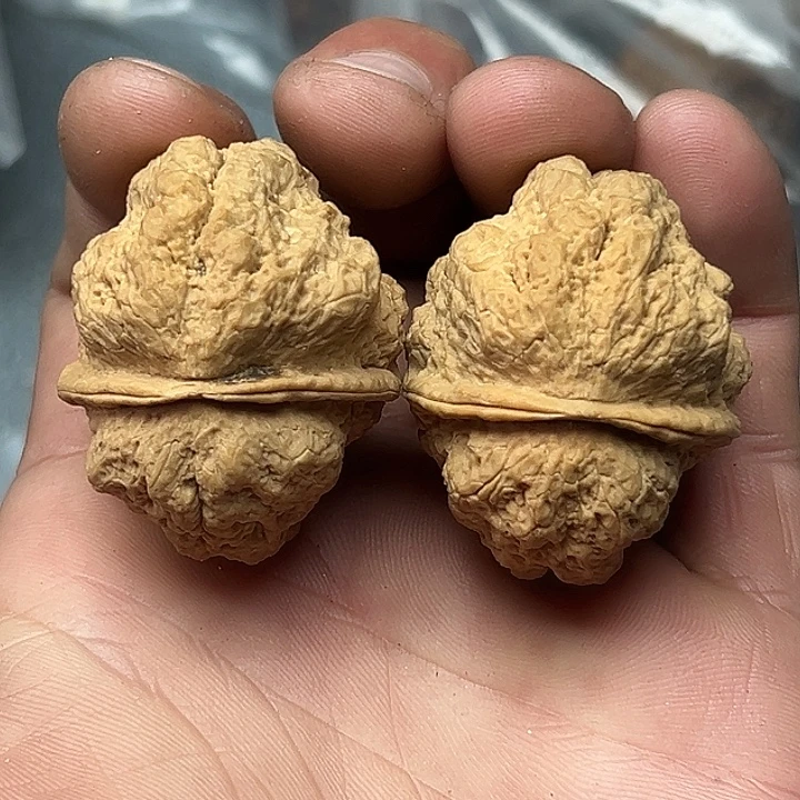 把件文玩核桃90号临沧古蟾王40尺