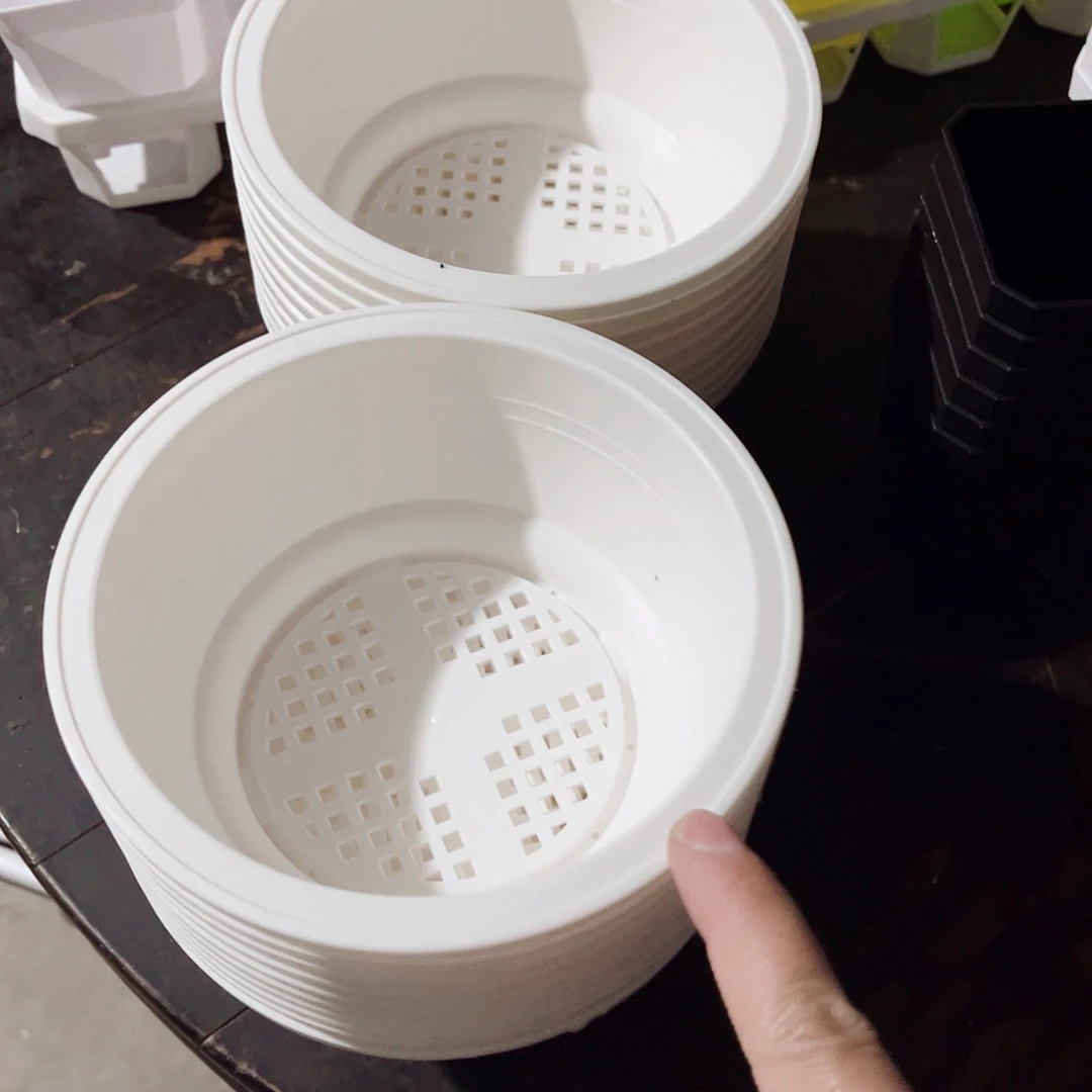 塑料160#韩盆白色盆20个无托