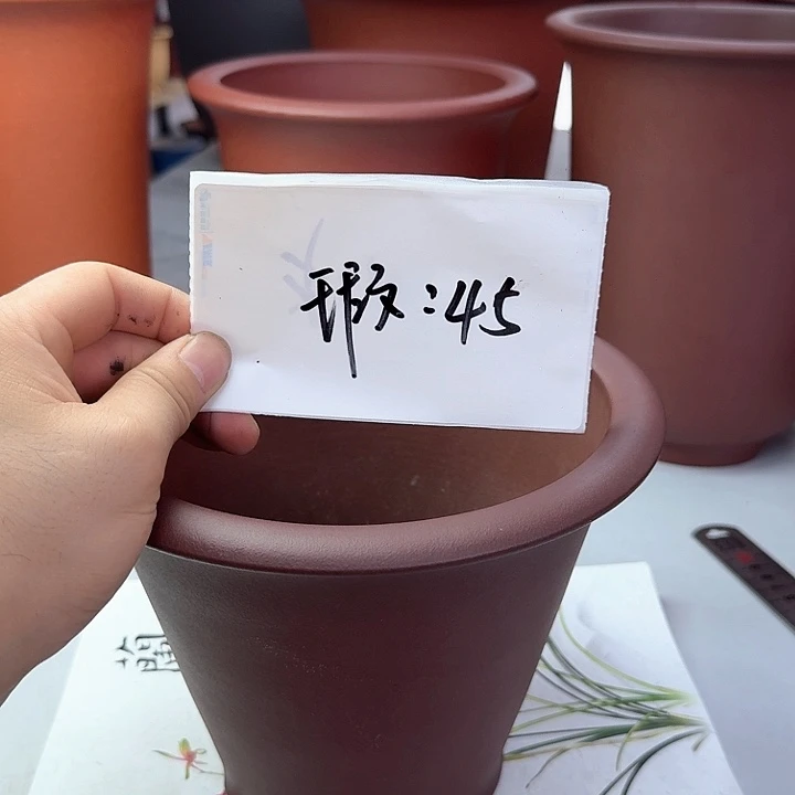 春秋花盆精品兰花盆