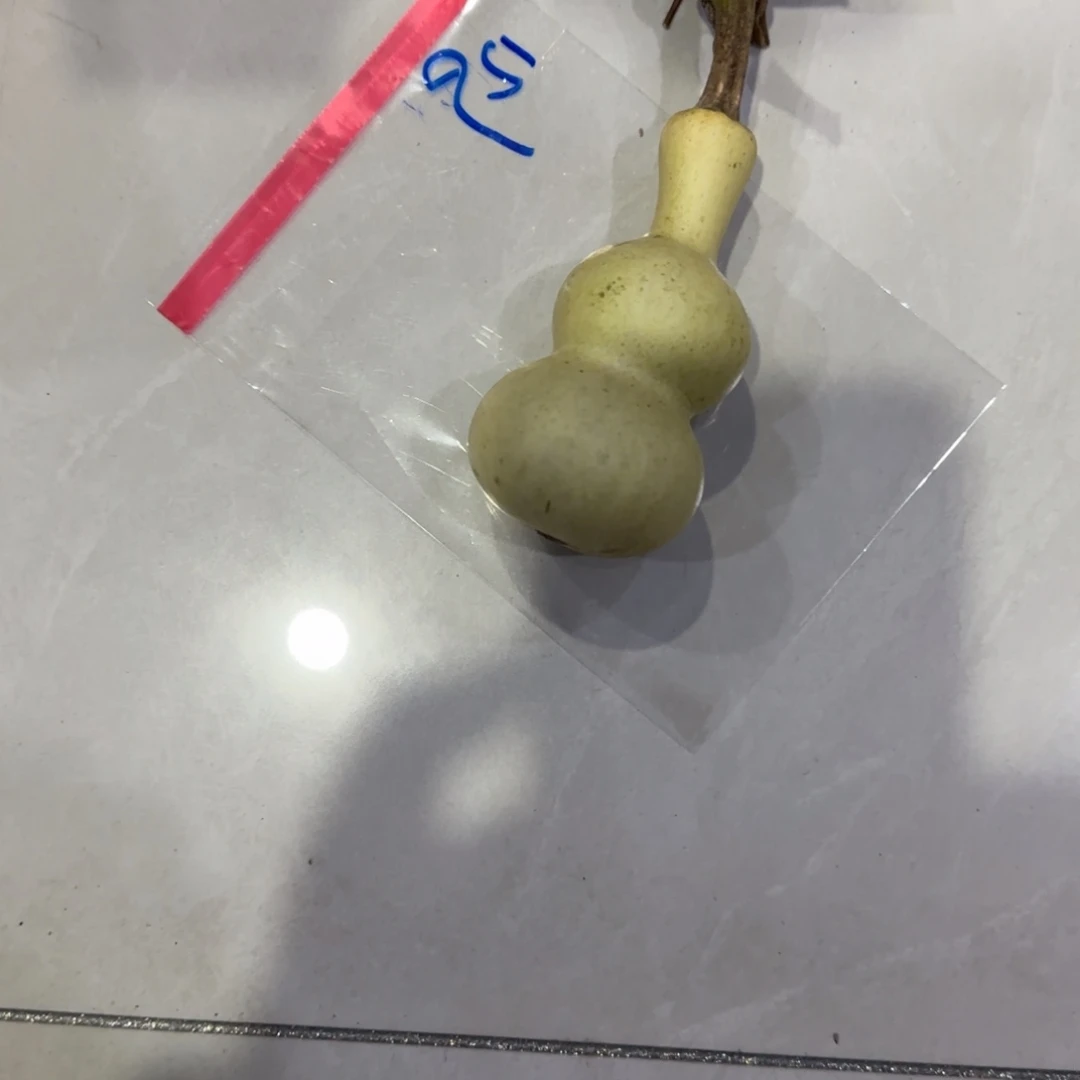碧***天青皮不包成青皮不包成