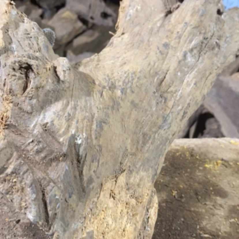 【闪购商品】贡木其他孑**身私人订制￼