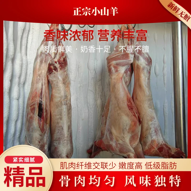 【新疆本地散养小山羊】整只羊排羊腿现宰现发新鲜原切产地冷链包邮