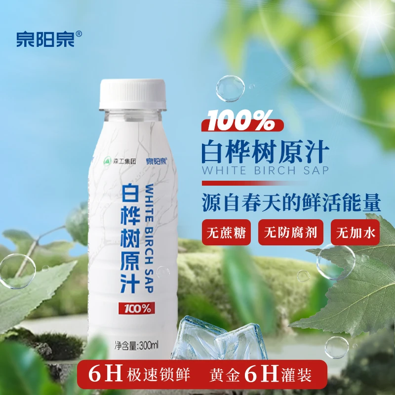 泉阳泉 【达人专属】白桦树原汁300ml*12瓶/箱100%白桦树原汁无添加