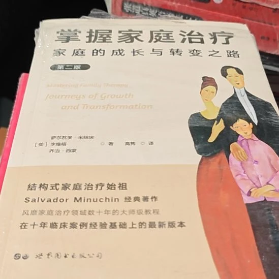 掌握家庭治疗平装库存书