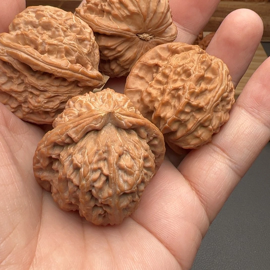 这***玩文玩核桃把件白狮子