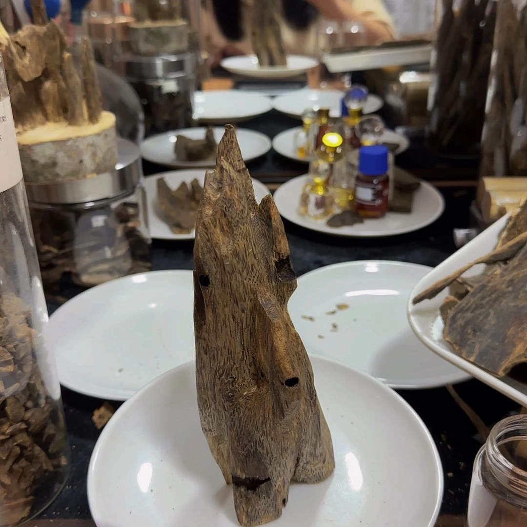 l***o沉香碎屑沉香精品海南乌身树心油虫漏149克+