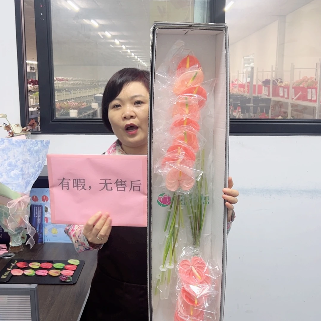 完全开放法拉欧-16枝装无售后款！