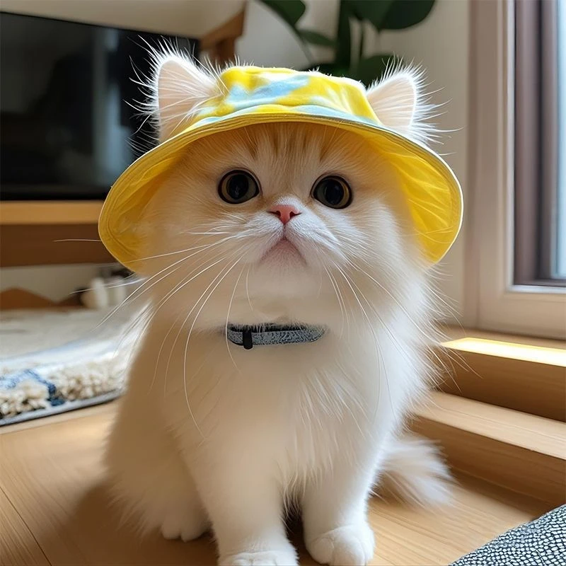可爱露耳朵猫咪狗狗帽子夏季宠物防晒太阳帽德文猫帽子小狗帽子