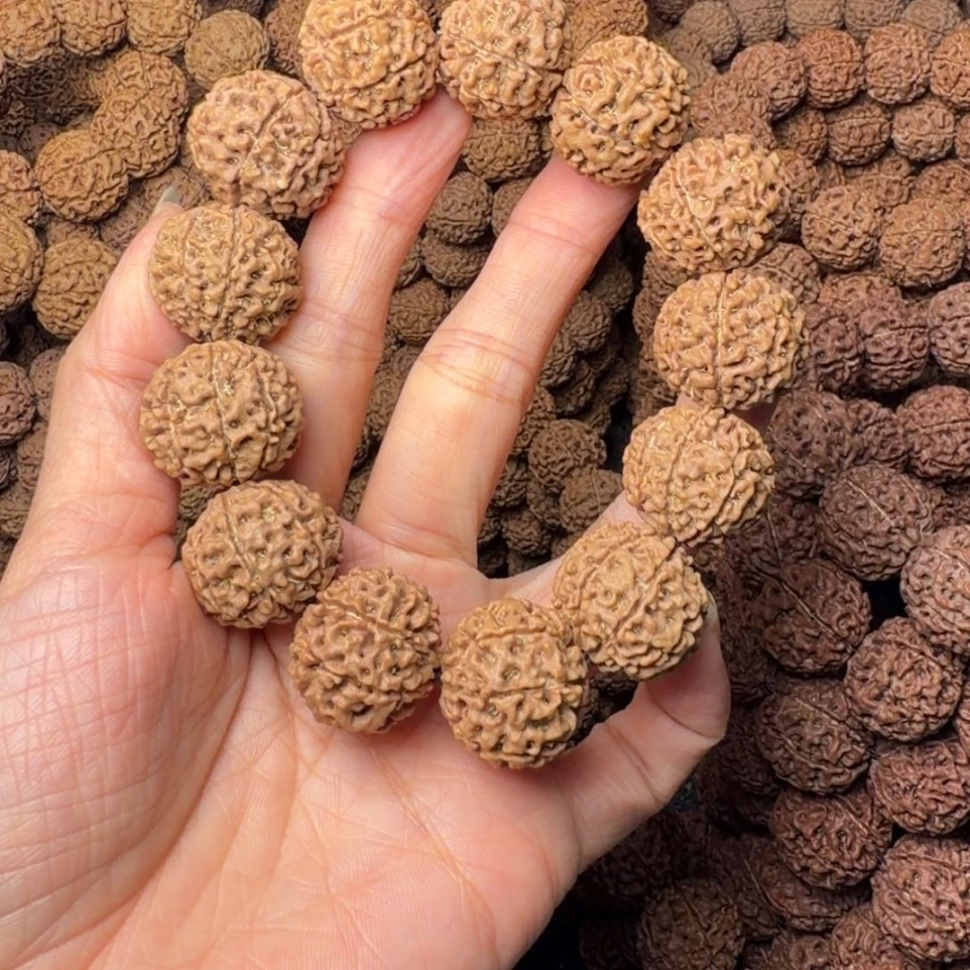 手串金刚菩提8瓣卡21尺，10号