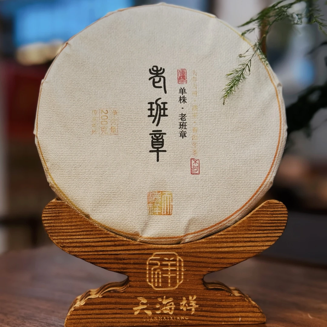 2024年老班章茶王地块普洱生茶挑采大古树单株守采