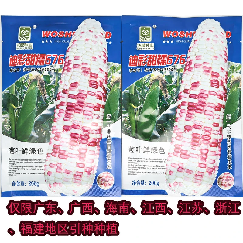沃蔬迪彩甜糯676玉米种籽高产绿皮大棒加甜糯小花玉米种子200克