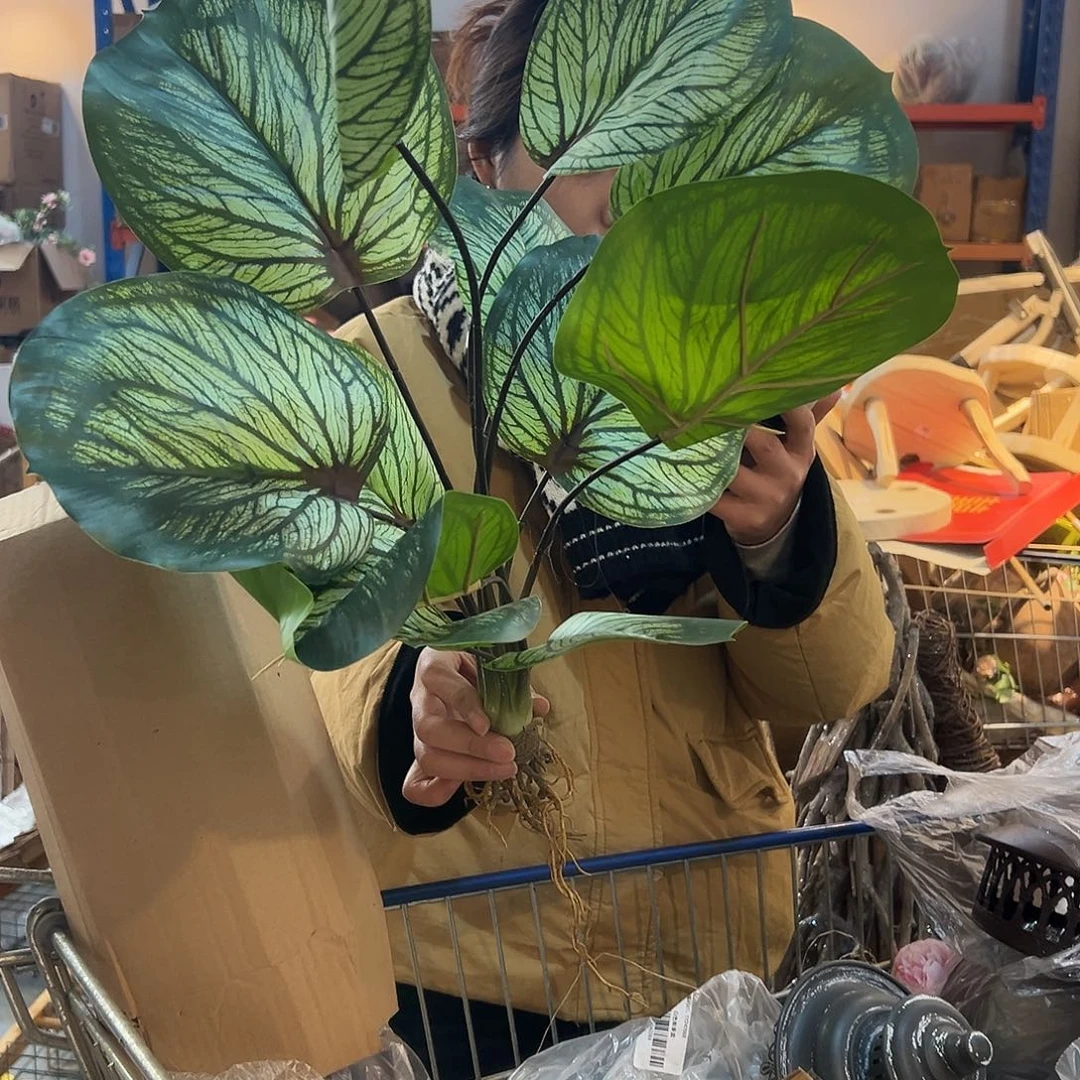 抖音直播瑕疵一个