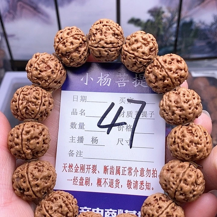手串金刚菩提20双龙