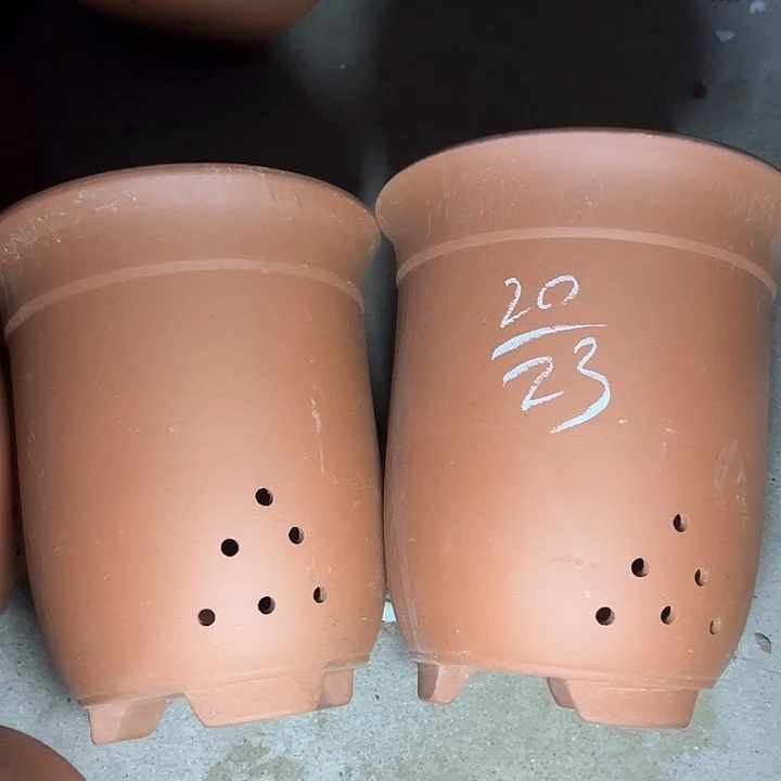 紫砂紫砂综上所述 