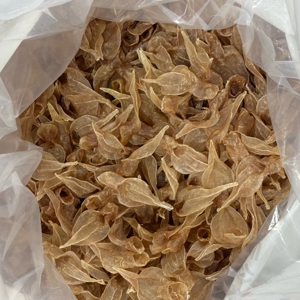 【老船长】 5-2本港白花胶