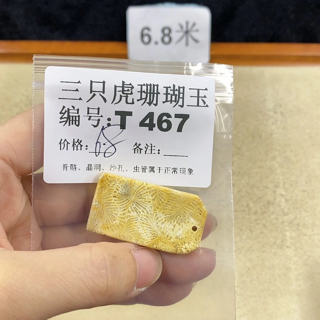 硅化珊瑚（珊瑚玉）1未镶嵌L***理