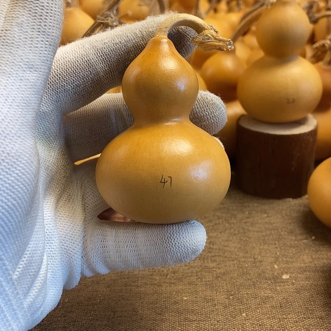 文玩葫芦 完美主义者 慎拍47