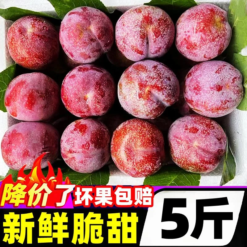 红心三华李现货5斤钱新鲜特大水果排三月李子当季孕妇整箱