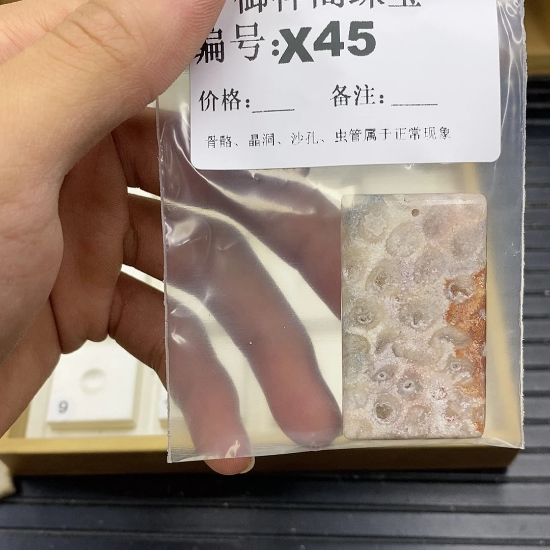 硅化珊瑚（珊瑚玉）未镶嵌颈饰一****儿