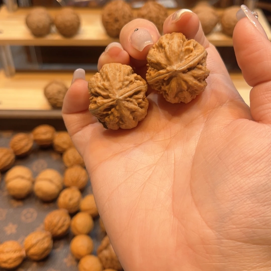 文玩核桃把件霸王龙30尺