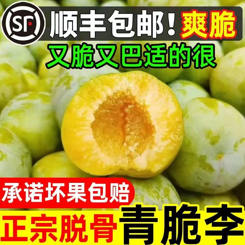 【顺丰包邮】正宗四川脱骨青脆李新鲜水果土李子孕妇货空心蜂糖李