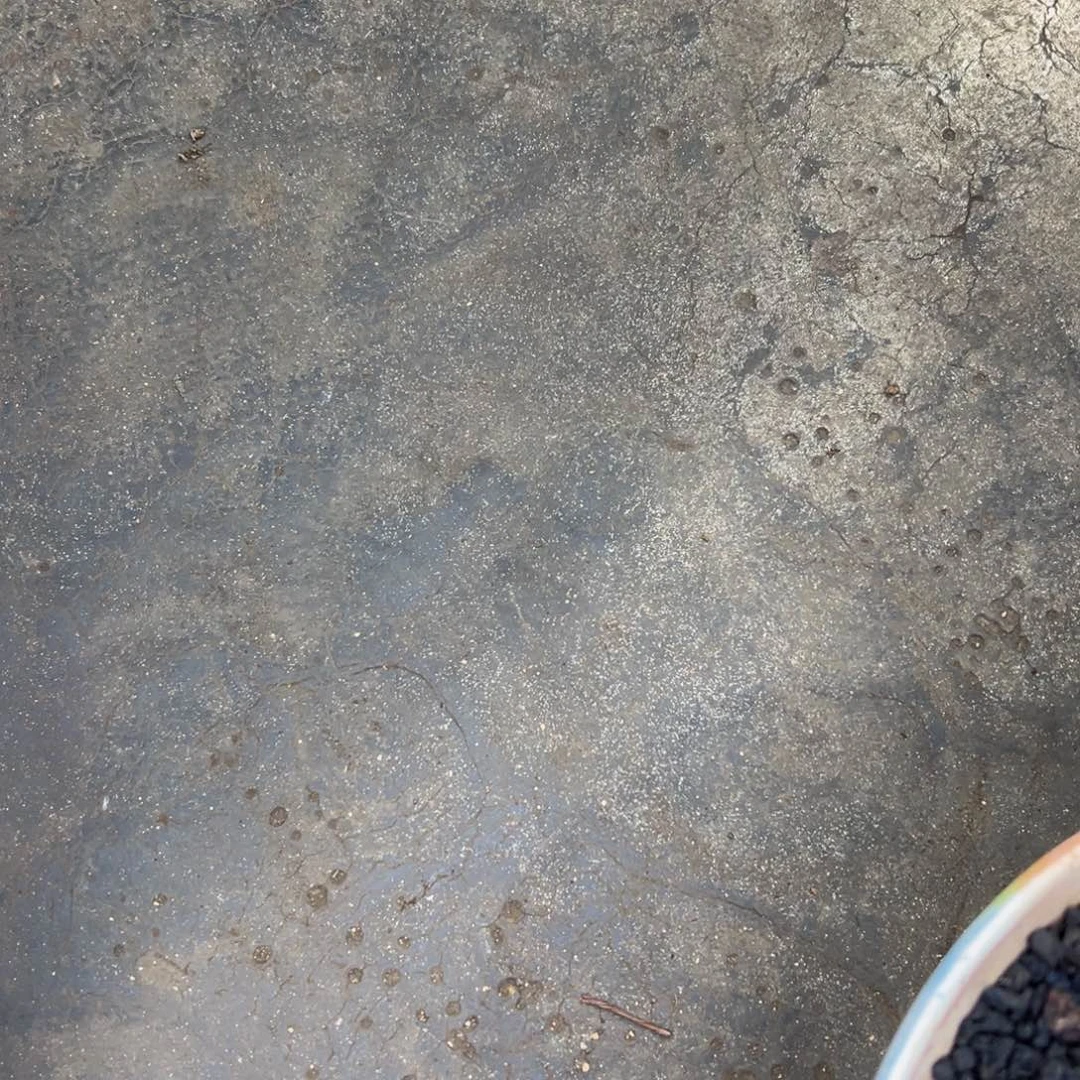 ?****?呜呜呜呜呜呜呜呜呜我想要