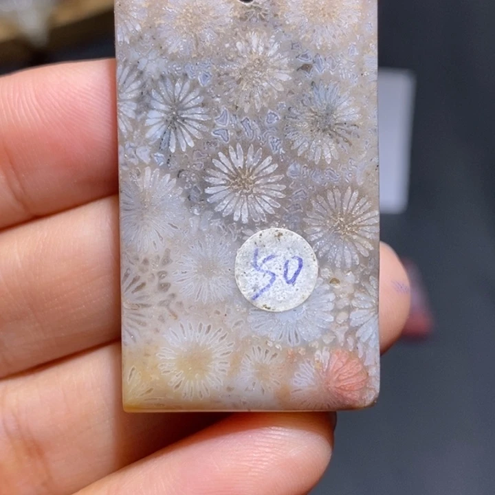 【闪购商品】未镶嵌珊瑚玉硅化玉