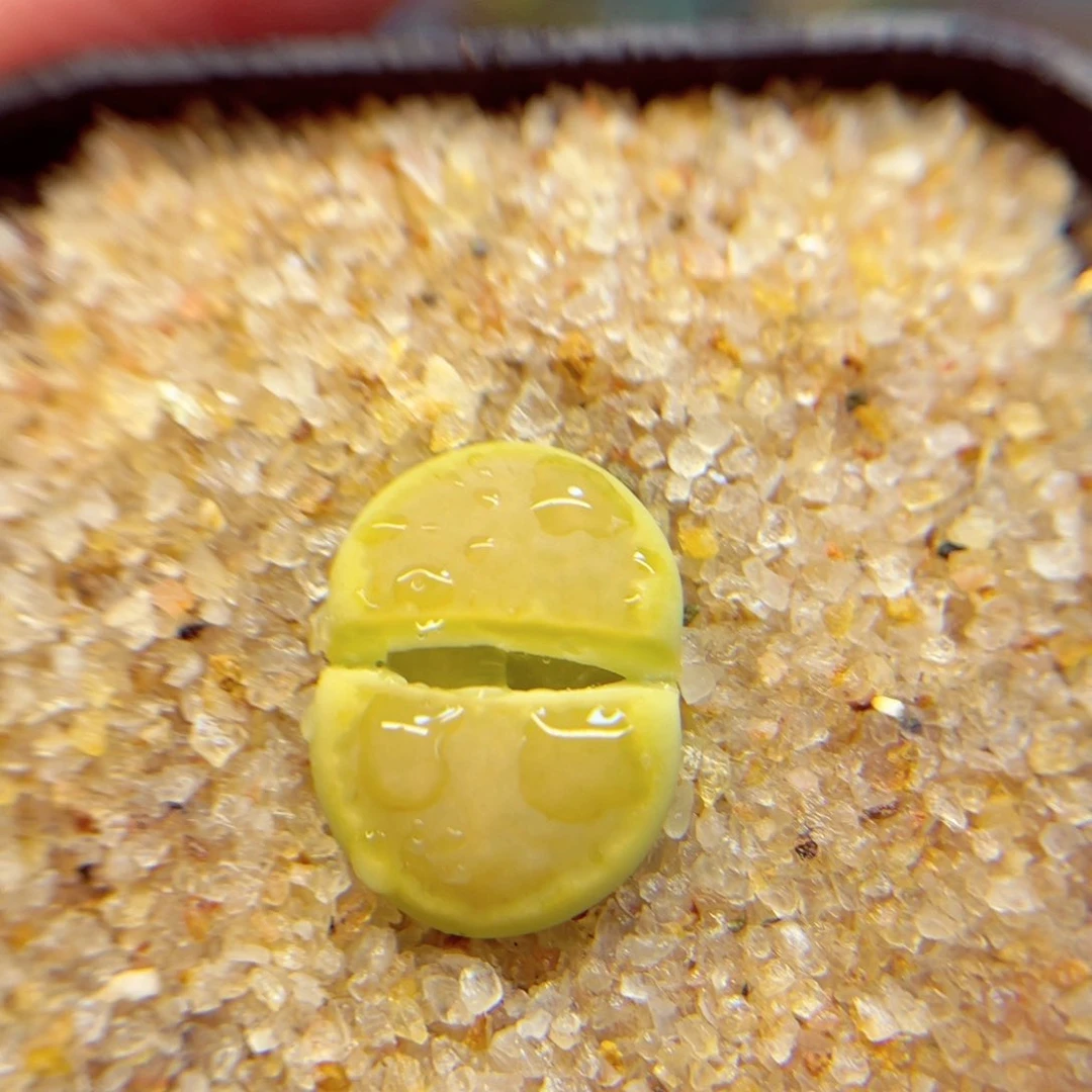 268。8888888888888888888