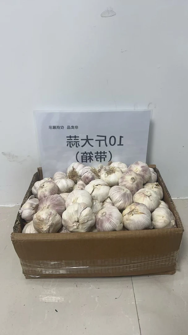 一元十斤大蒜带箱农家自种紫白皮干蒜产地直发可吃可种