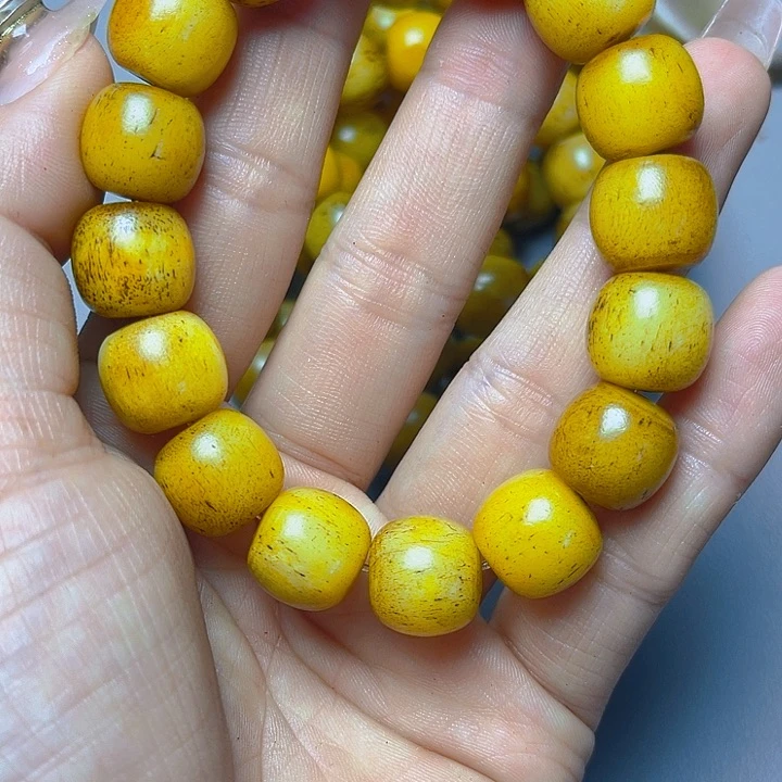 大果紫檀（缅甸花梨）