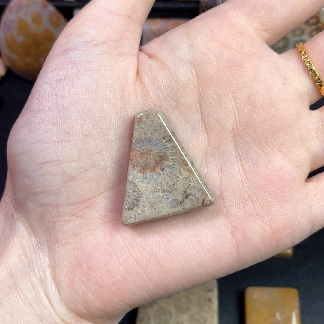 硅化珊瑚（珊瑚玉）未镶嵌吊坠