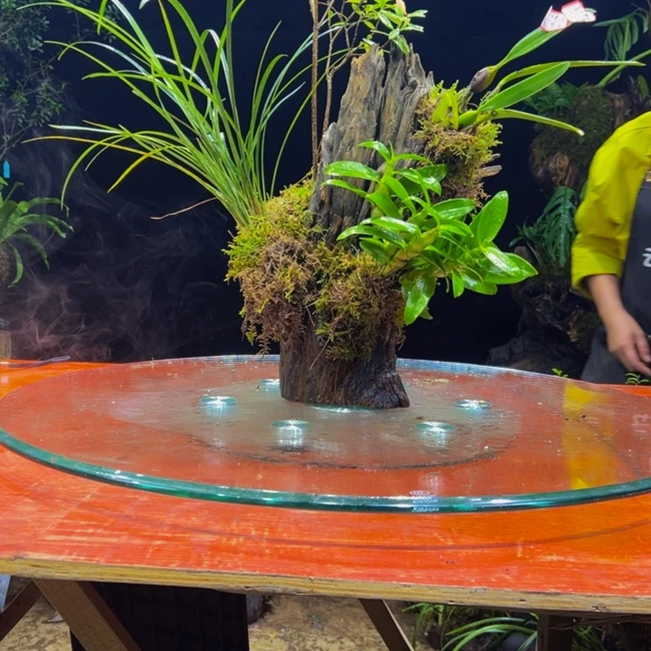 广***猫完全开放1111111111