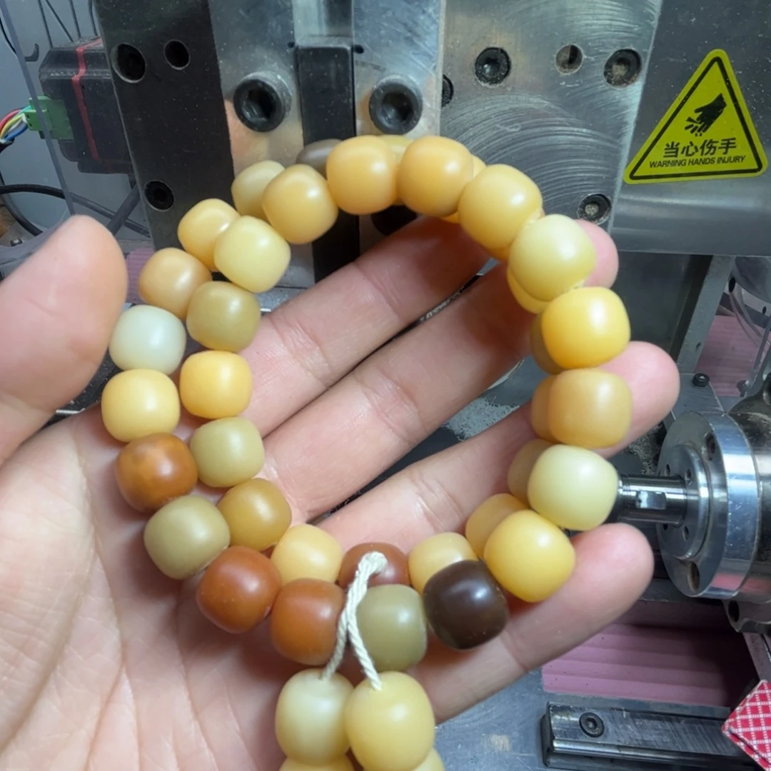 手串菩提根/象牙果