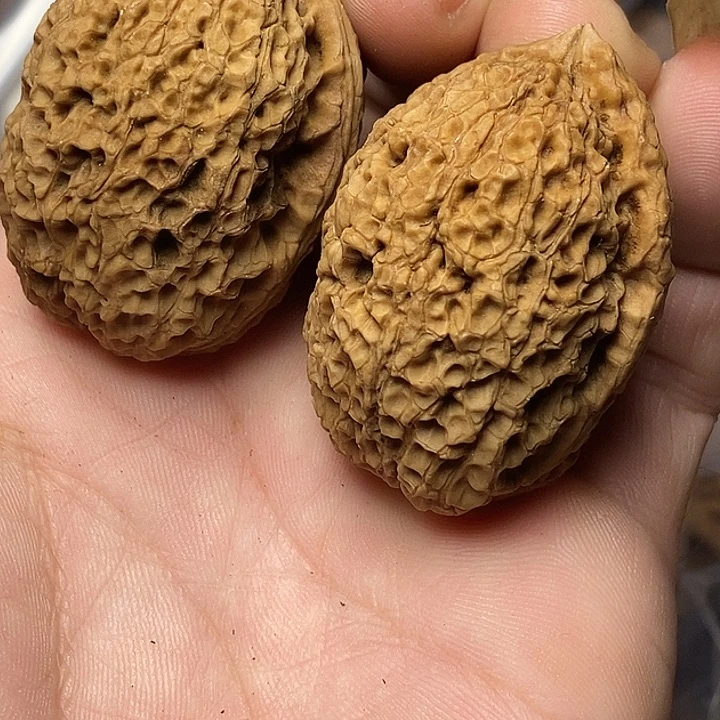 把件文玩核桃云南铁核桃59