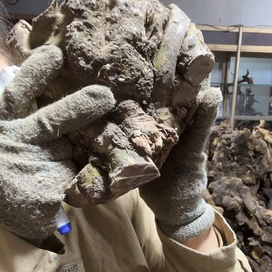 香榧木葱**沫火琉璃等毛料摆件