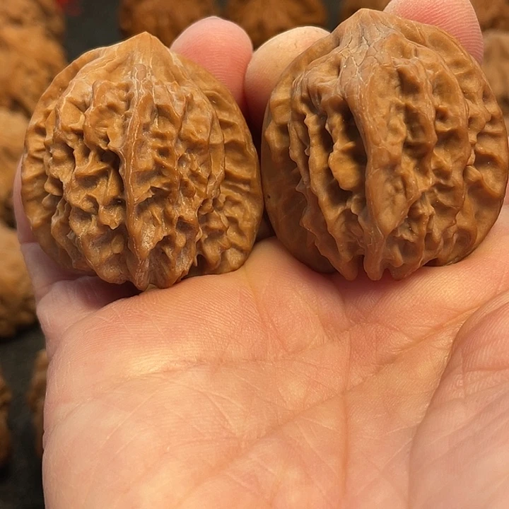 文玩核桃把件曹大龙