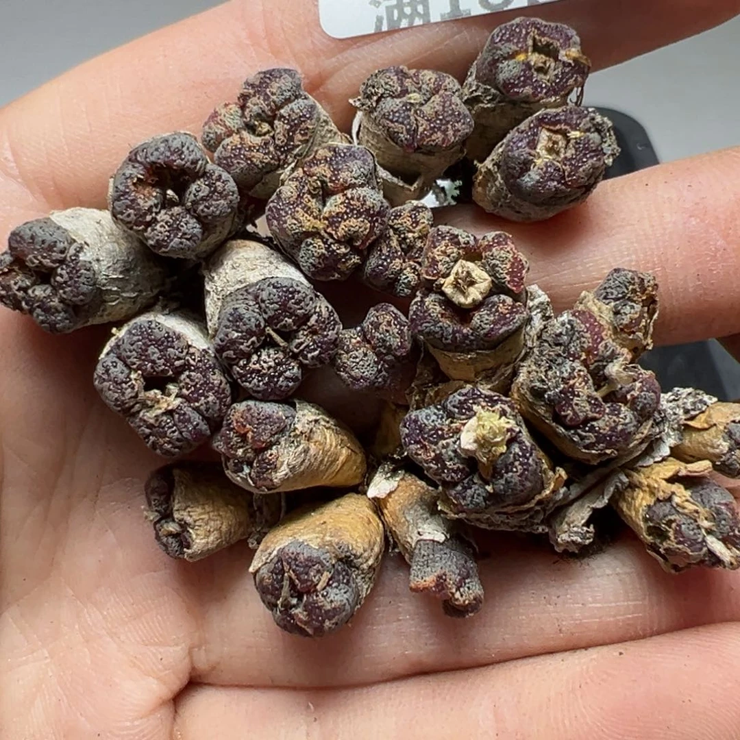 【闪购商品】331……