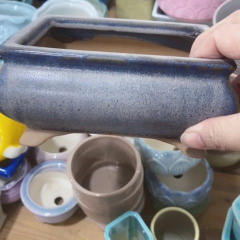 红陶陶瓷多肉花盆