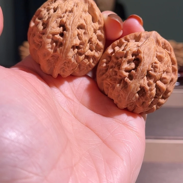 核桃红锦鲤全品无休